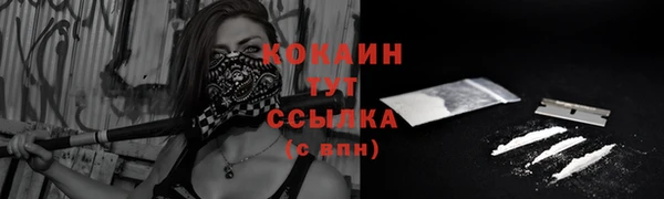 дмт Гусь-Хрустальный